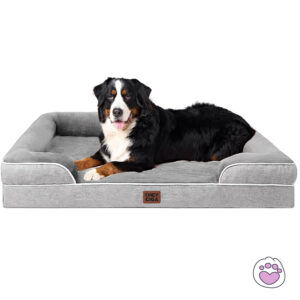 https://moolly.pet/wp-content/uploads/2019/07/pet3-300x300.jpg
