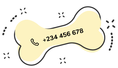 https://moolly.pet/wp-content/uploads/2019/07/text_02.png