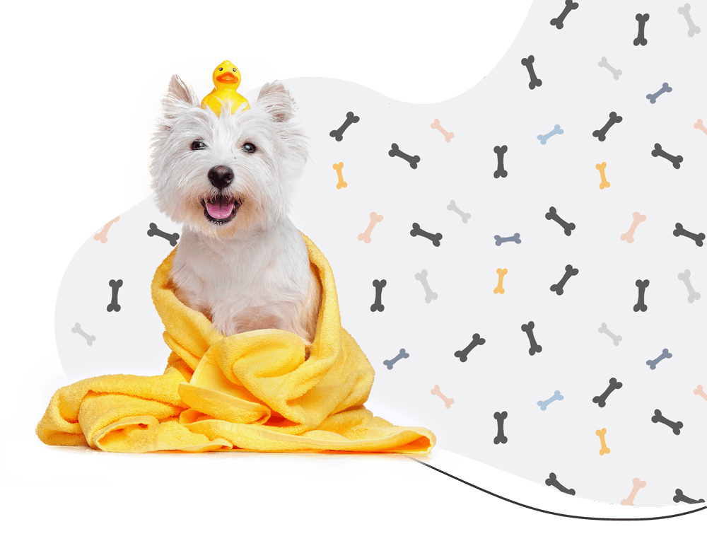https://moolly.pet/wp-content/uploads/2019/08/hero_prices.png