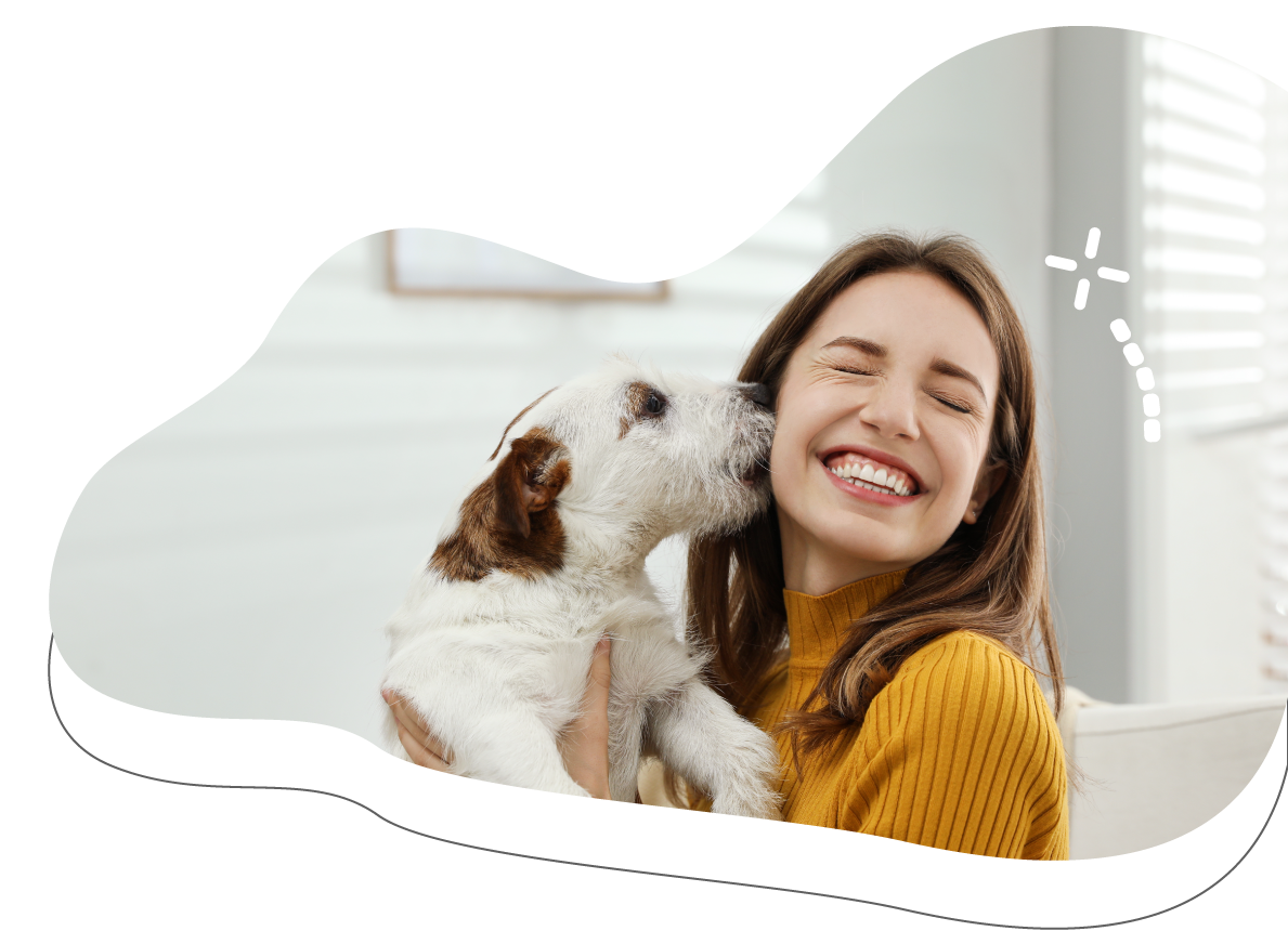 https://moolly.pet/wp-content/uploads/2025/06/gggf55.png